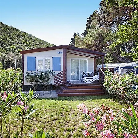 Dom wakacyjny Mobile Homes Oliva - Cis03039-myb